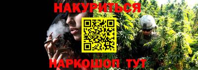 дмт Шахты