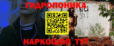 амф Шебекино