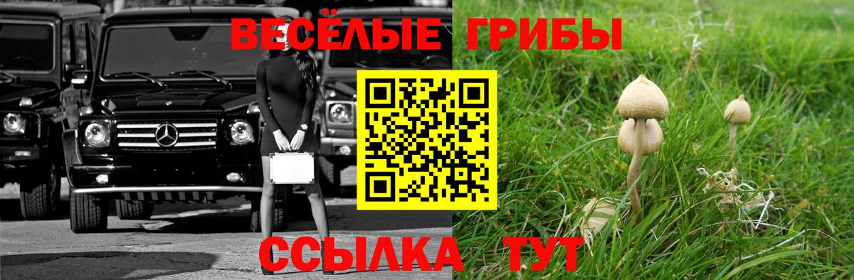 Галлюциногенные грибы Psilocybine cubensis  Галлюциногенные грибы ЛСД  Вход с VPN  Кирово-Чепецк 